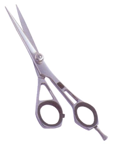 Professional Hair Cutting Scissors 